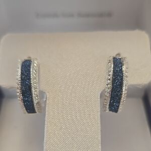 Elegant Silver and Blue Earrings